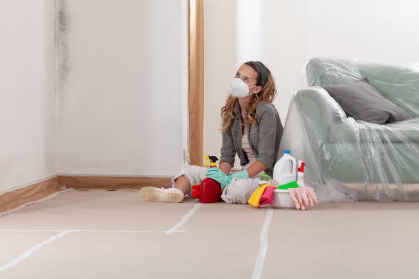 Reliable Mold Remediation contractor in Ellicott City, MD by WQB Mold Removal
